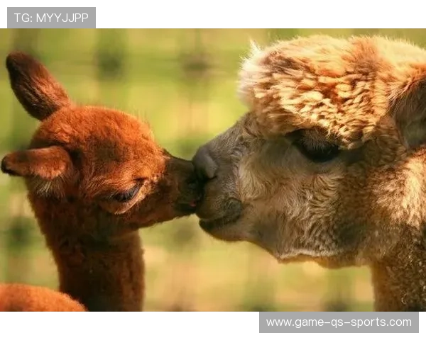 足球明星子女萌趣瞬间集锦 父母传承与新星崛起的温馨时刻